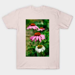 Echinacea Purpurea T-Shirt